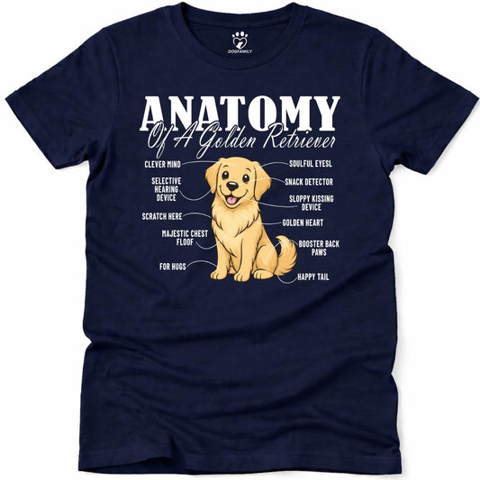 Anatomy