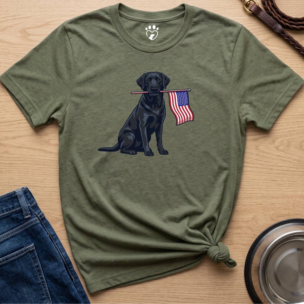 Black Lab
