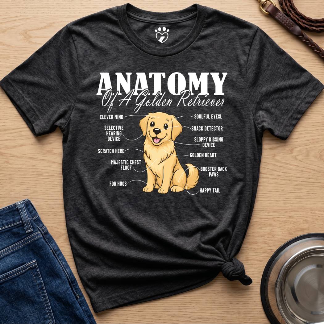 Anatomy