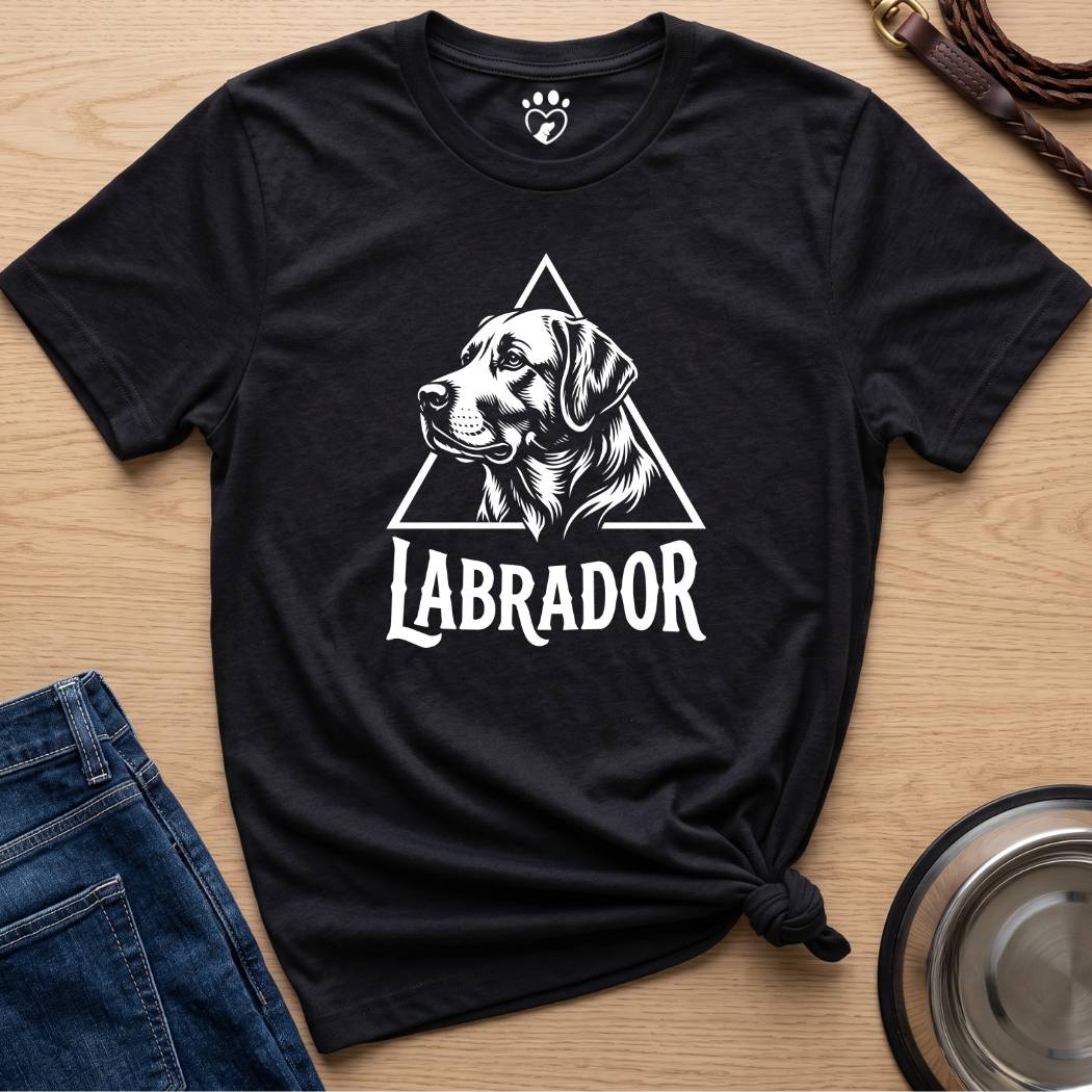 Triangle Lab