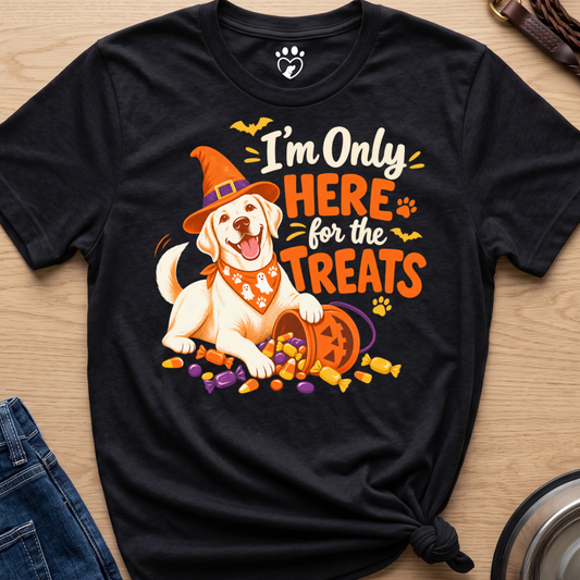 I'm Only Here