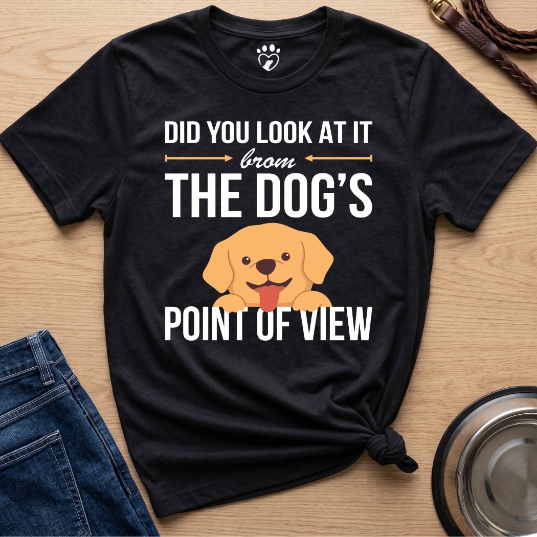 Point of View