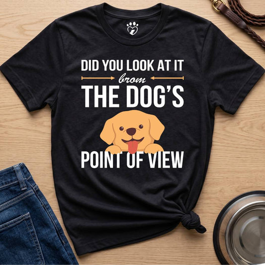 Point of View