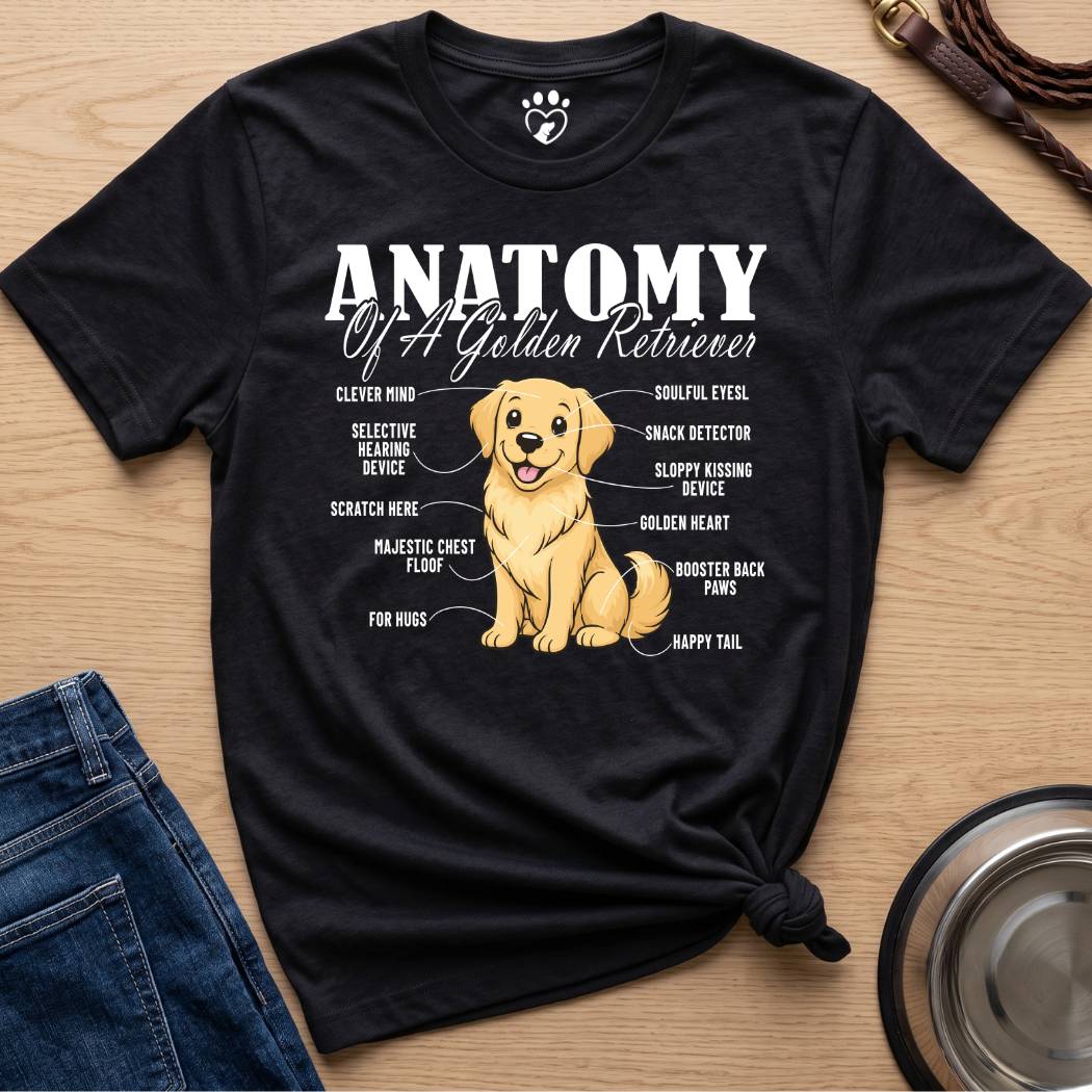 Anatomy