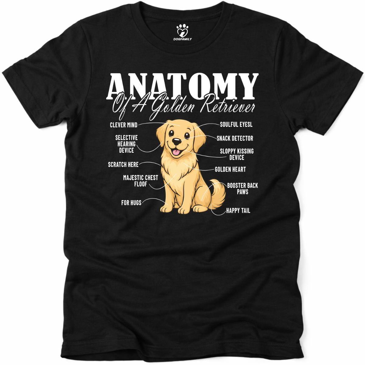 Anatomy