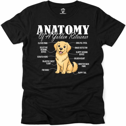 Anatomy