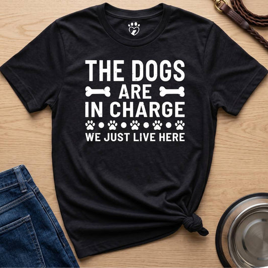 In Charge