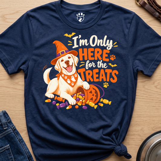 I'm Only Here