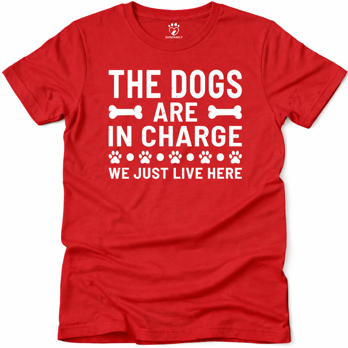 In Charge