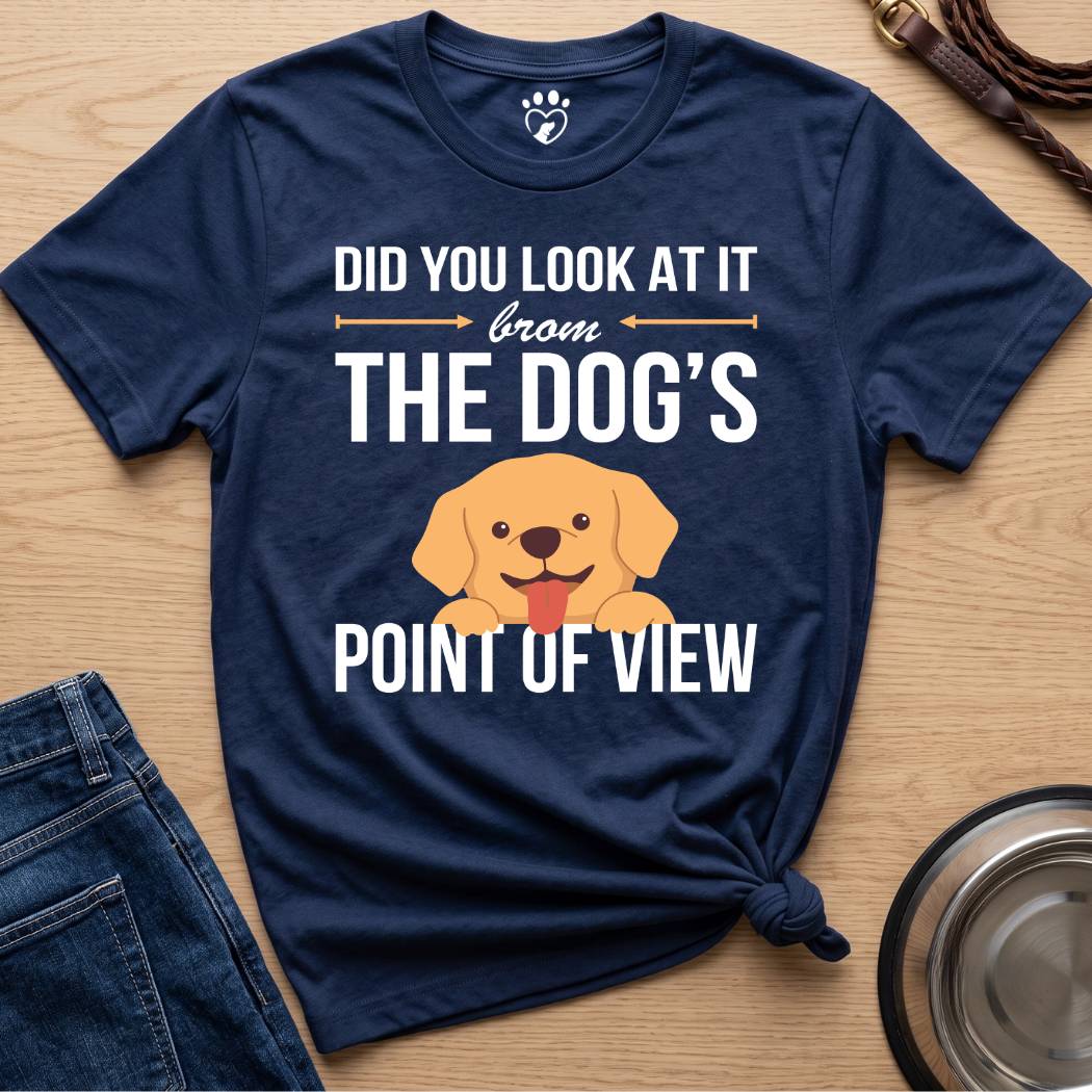 Point of View