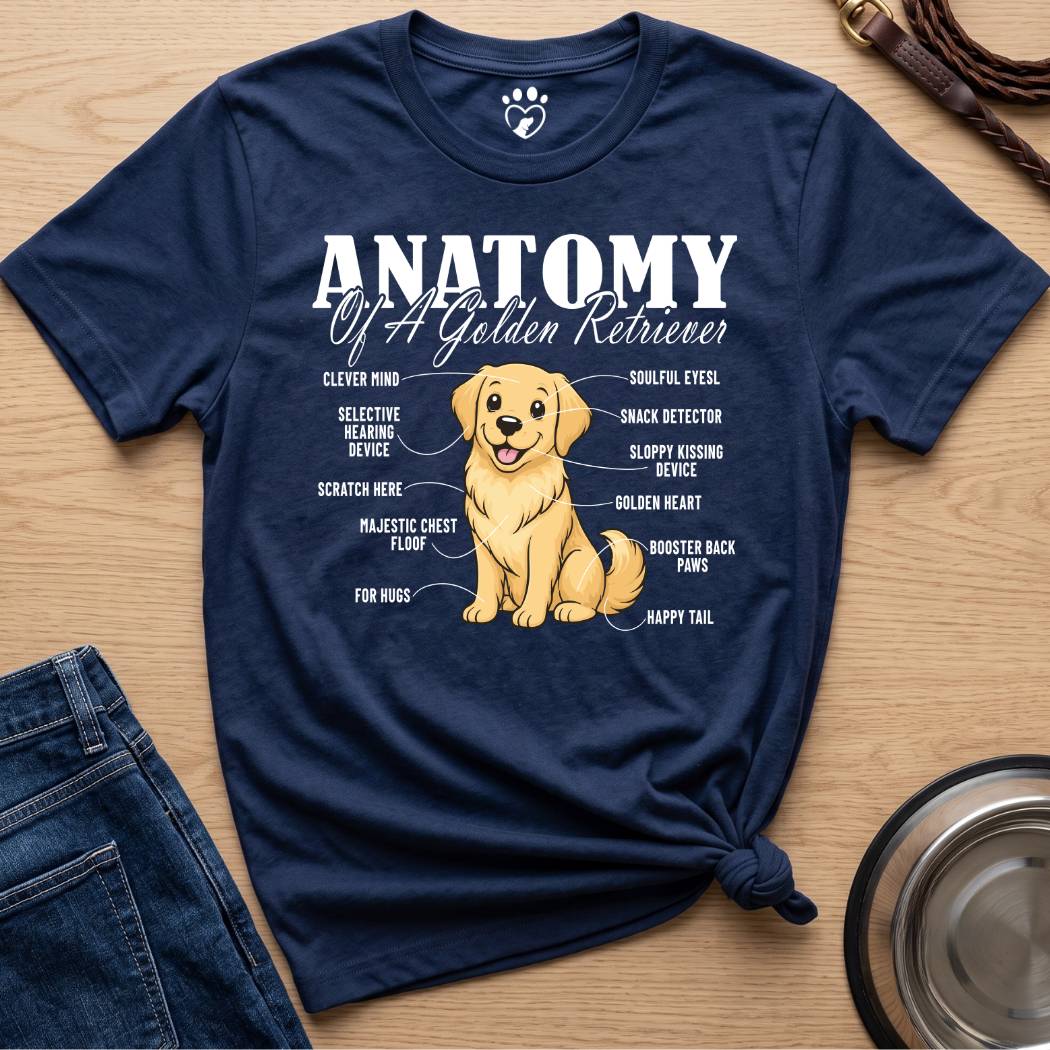 Anatomy