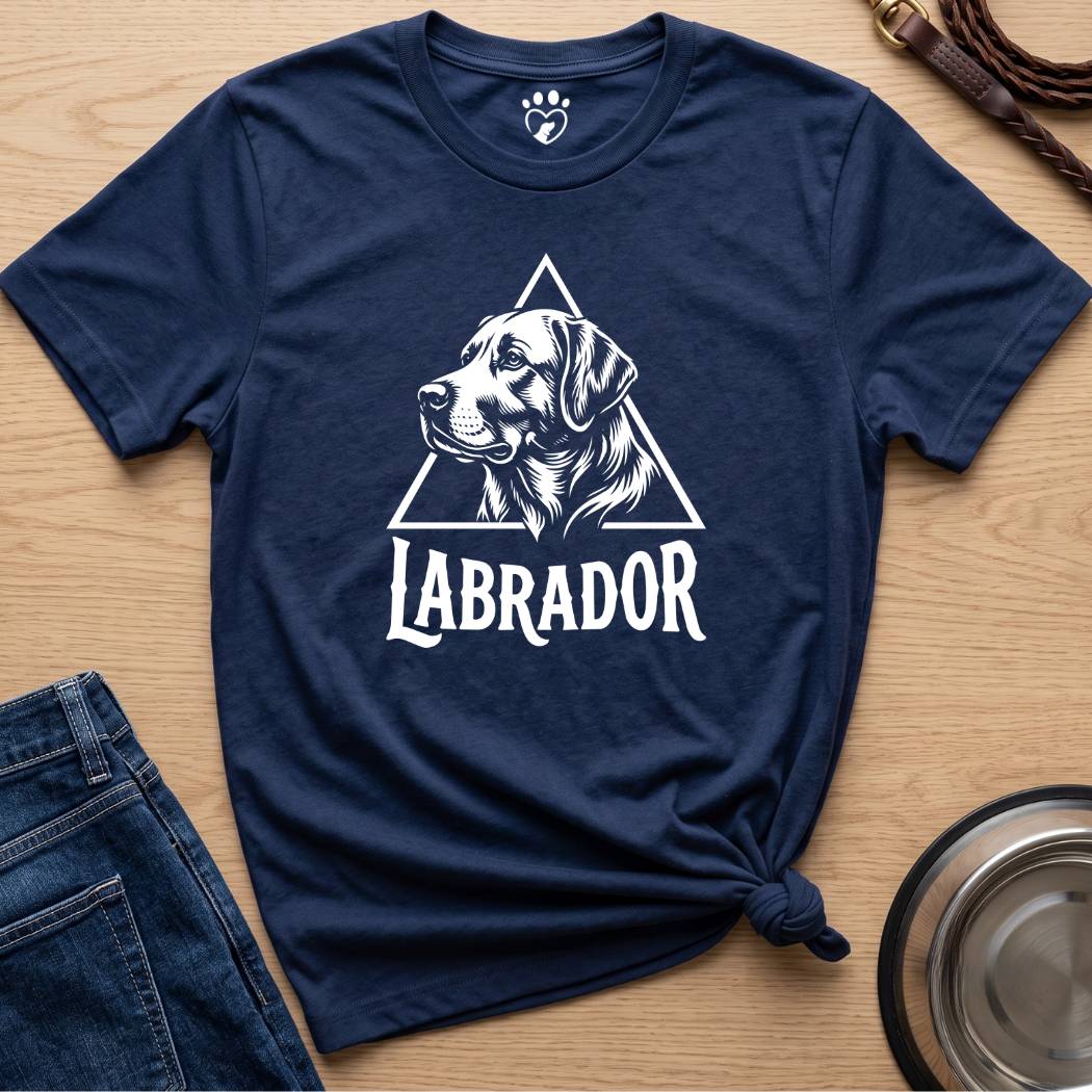Triangle Lab