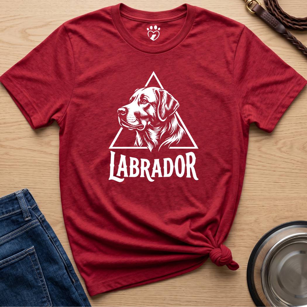 Triangle Lab