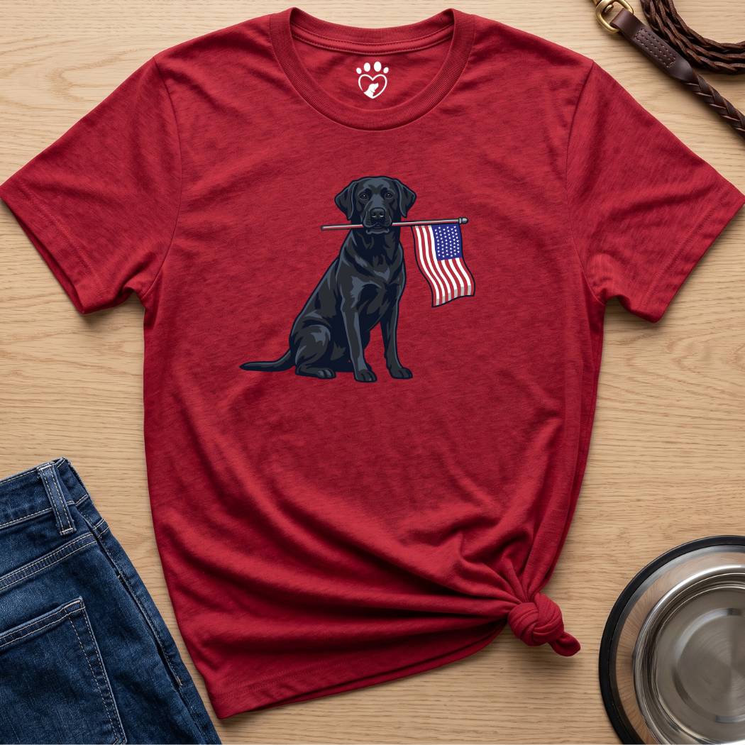 Black Lab