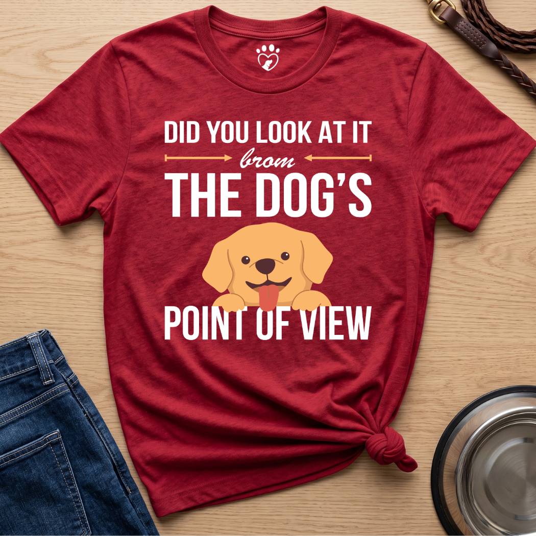 Point of View