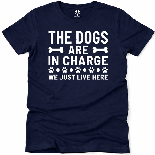 In Charge