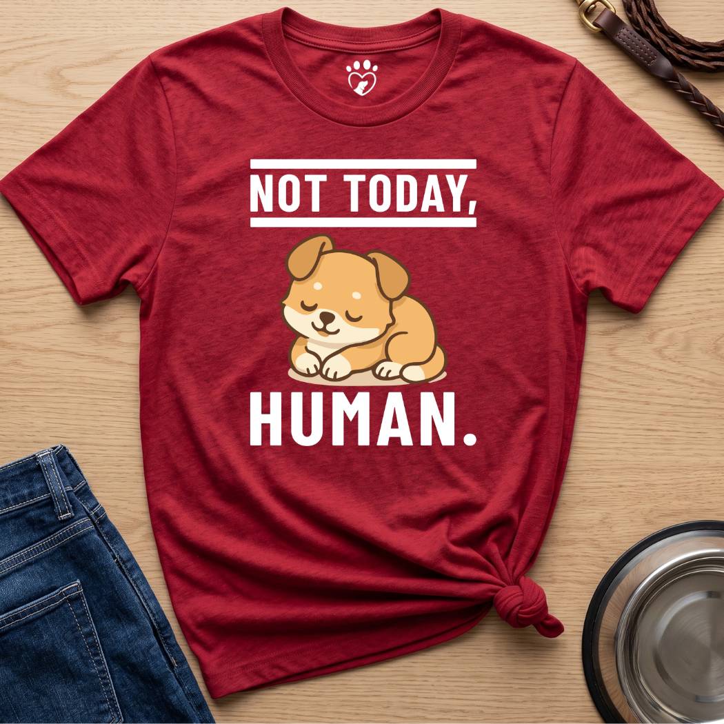 Not Today