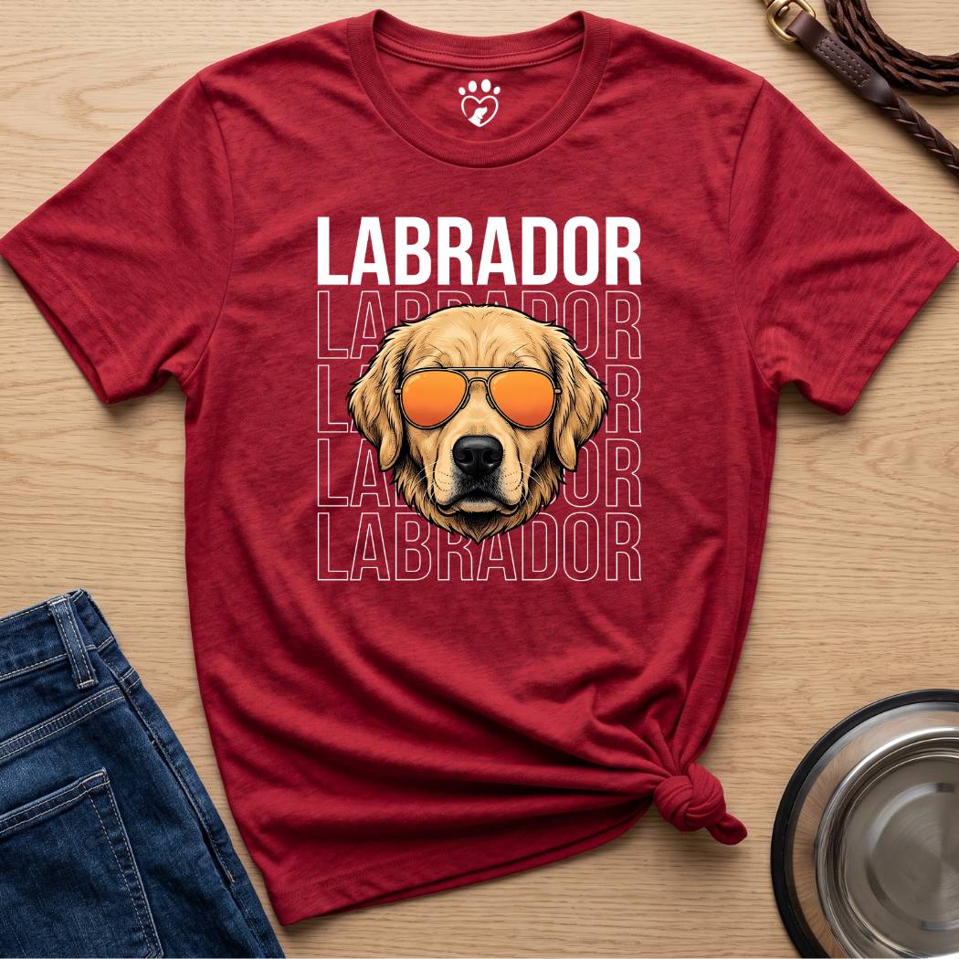 Cool Lab