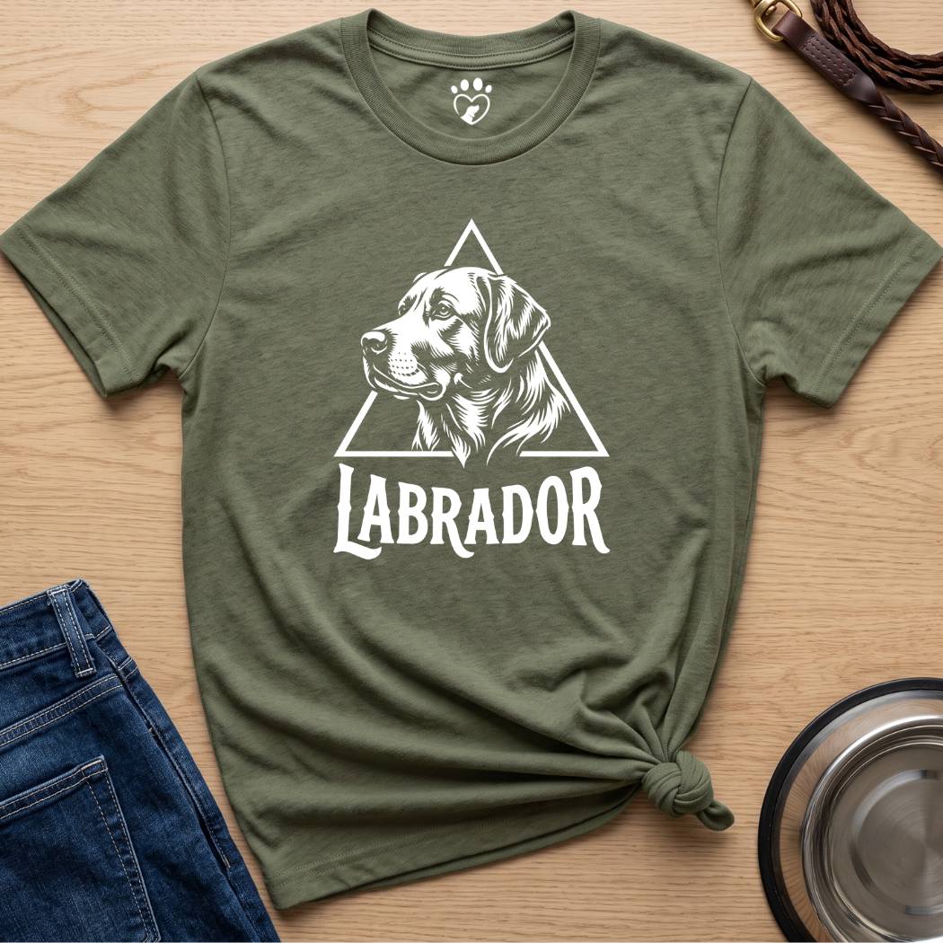 Triangle Lab
