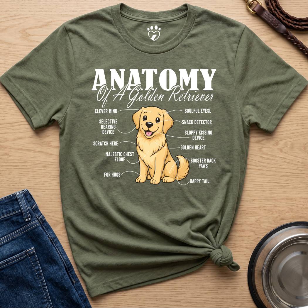 Anatomy