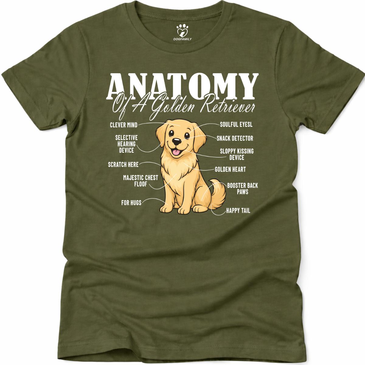 Anatomy