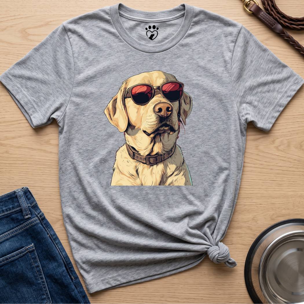 Cool Lab