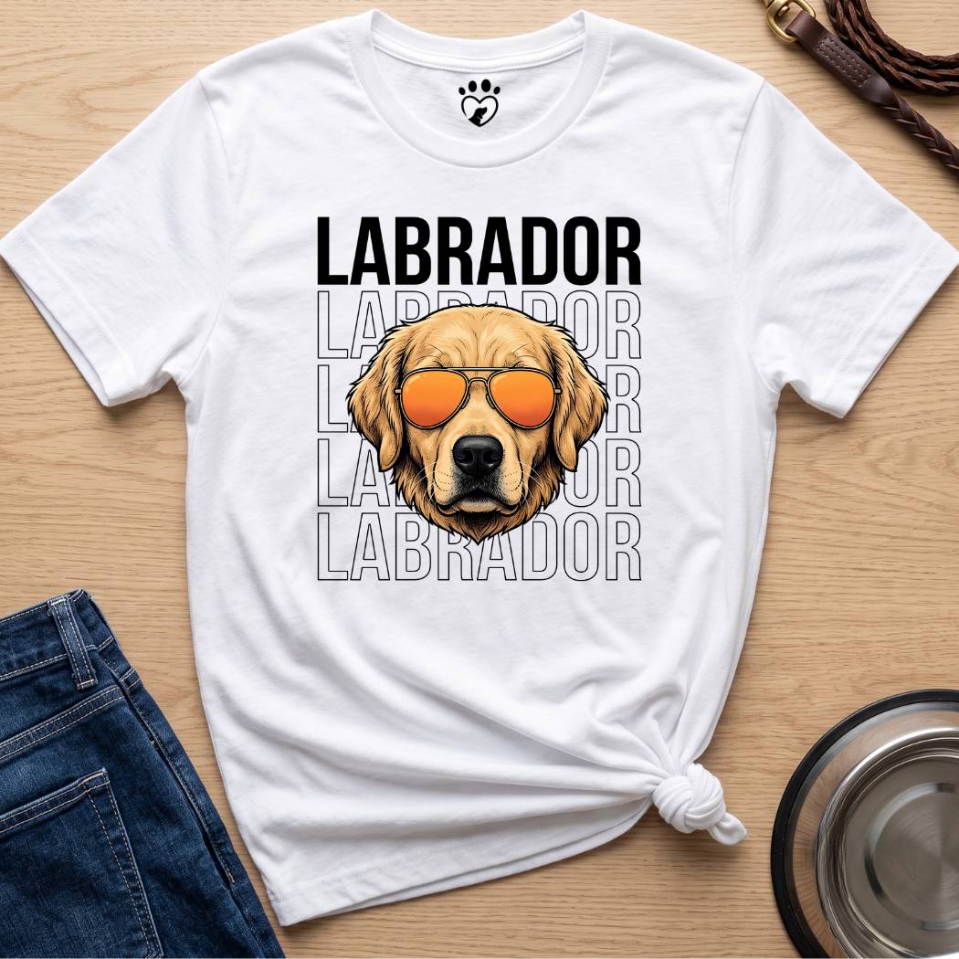 Cool Lab