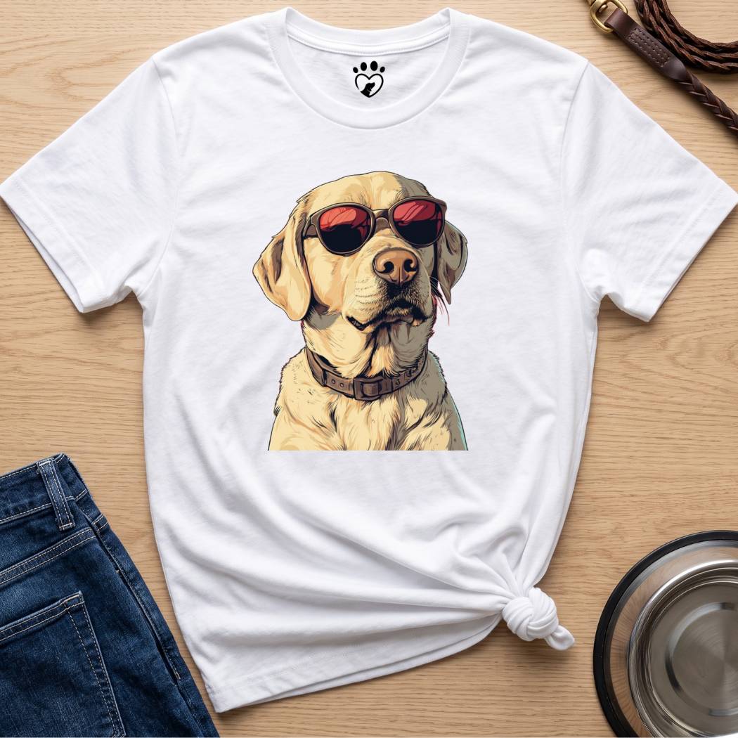 Cool Lab