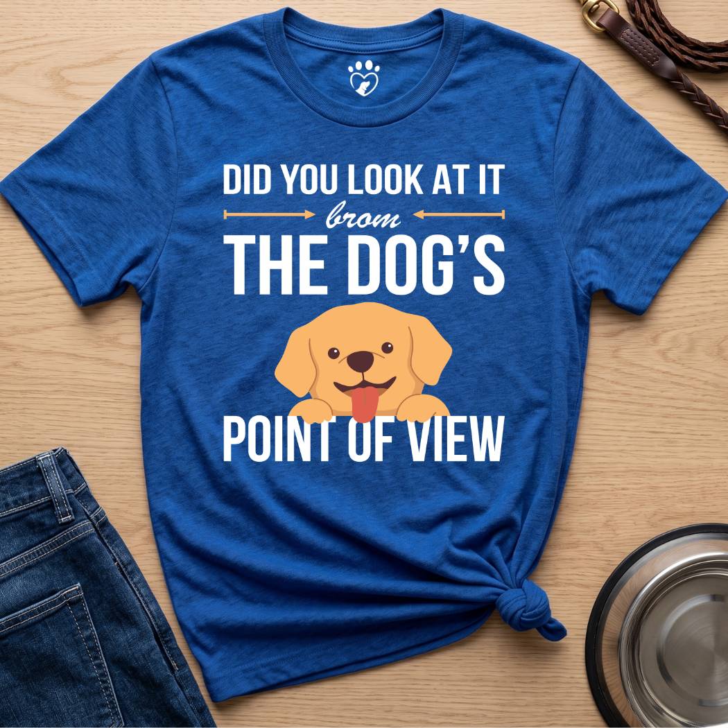 Point of View