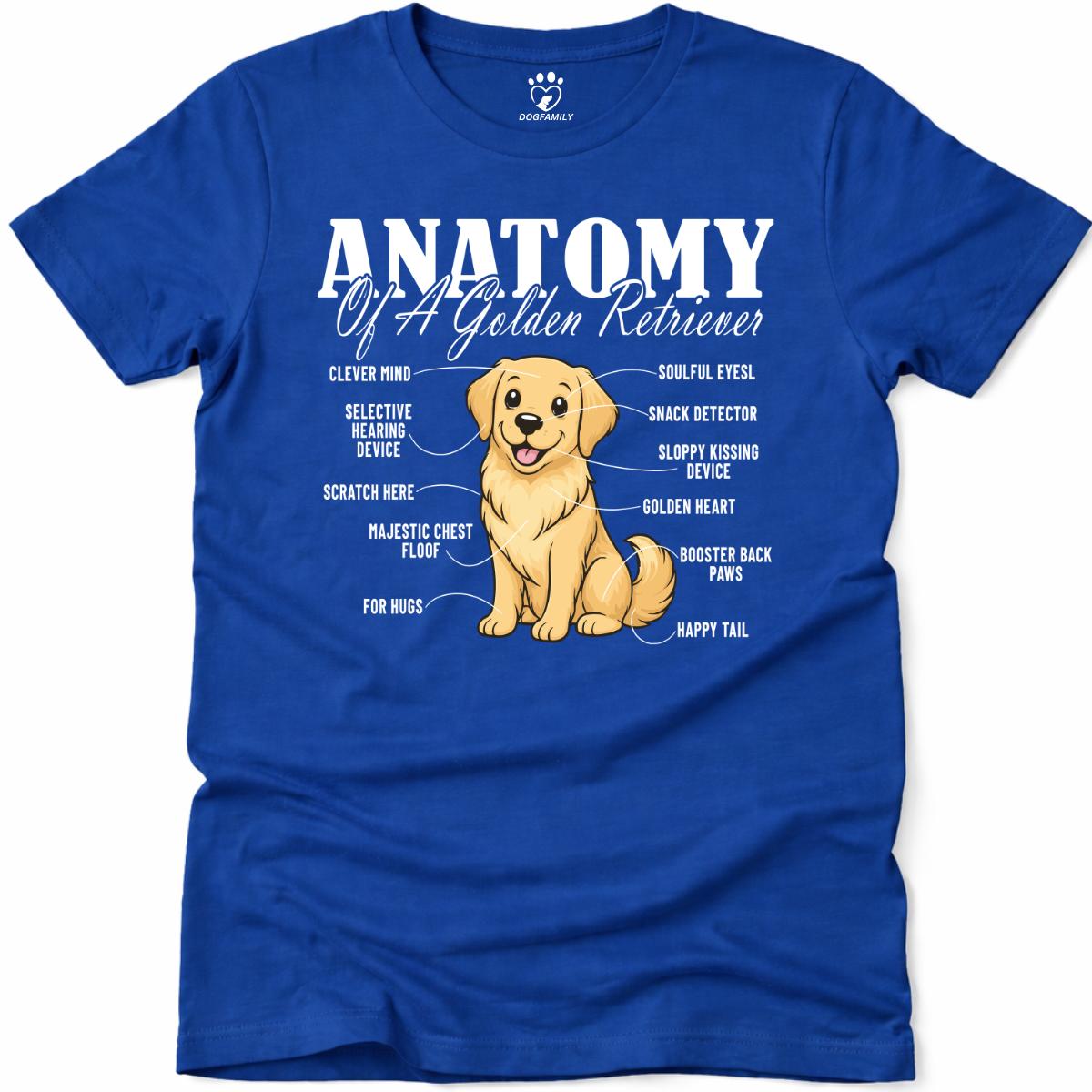 Anatomy